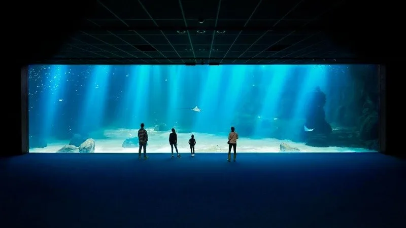 Самый большой аквариум в Европе