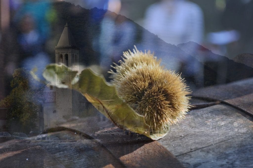 d0bcd0b5d0bdd18cd188d0b5 d0bad0b0d188d182d0b0d0bdd18b d0b2 d0b1d0bed0bad0be d0bad0bed182d0bed180d181d0bad183d18e d0b1d183d185d182d183