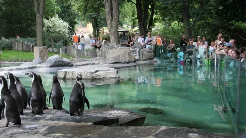 Зоопарк в Праге