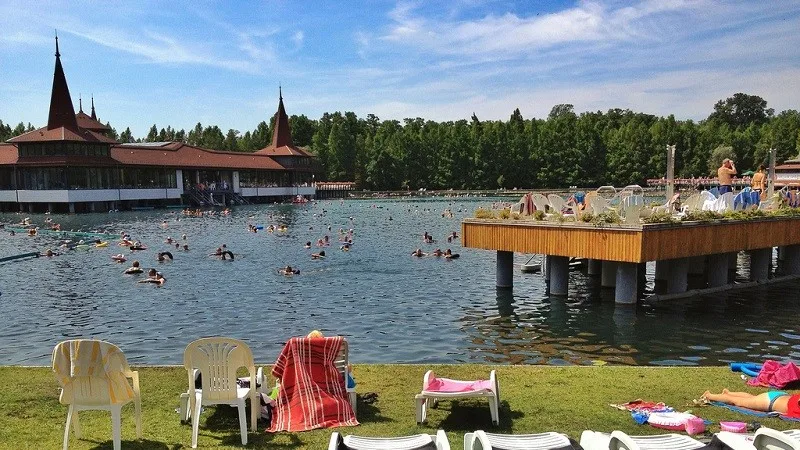 Лечение в Венгрии